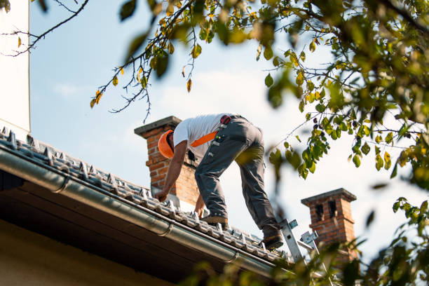 Professional Roofing Contractor in Burlington, WI