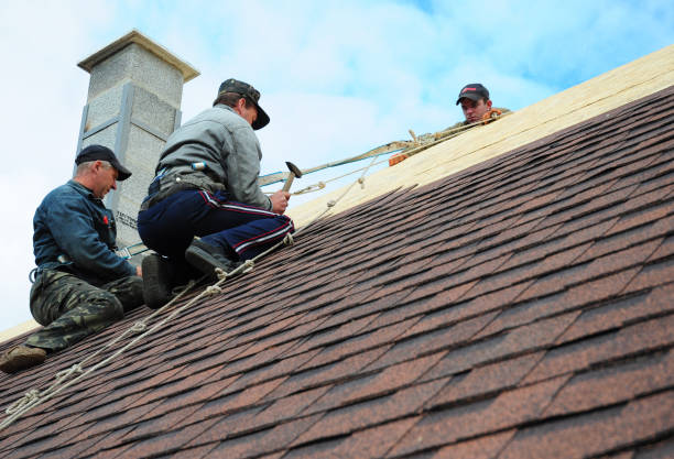 Best New Roof Installation  in Burlington, WI